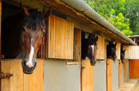free Buckmoorend stable construction quotes